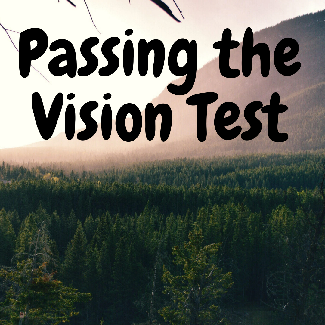 Passing the Vision Test