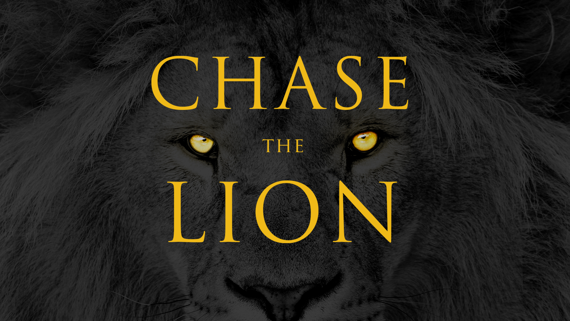 Chase the Lion